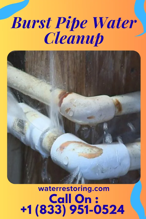 Burst Pipe Water Cleanup in North Massapequa, NY