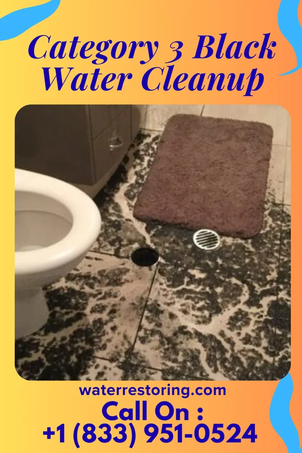 Category 3 Black Water Cleanup in North Massapequa, NY