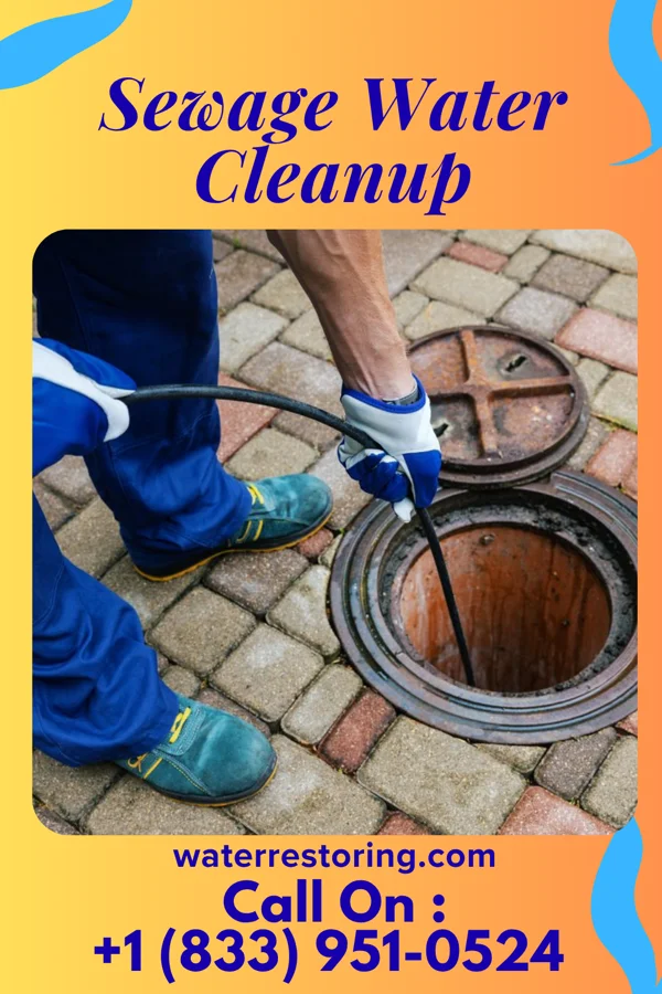 Sewage Water Cleanup in North Massapequa, NY