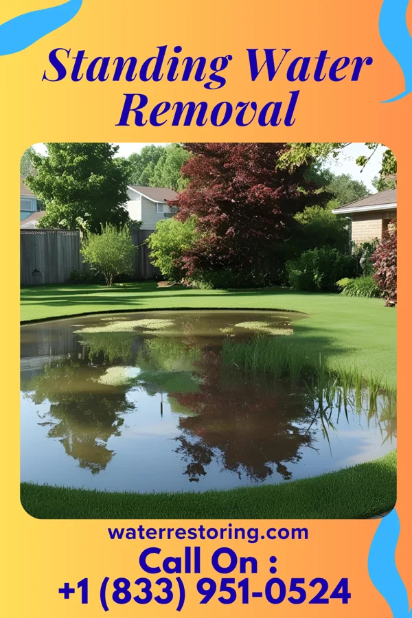 Standing Water Removal in North Massapequa, NY